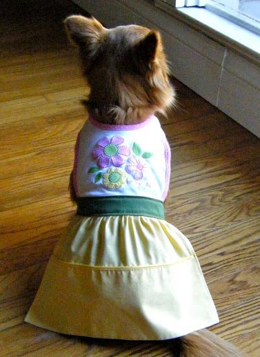 100 FREE Dog Clothes Patterns DIY Coats Dresses Tops