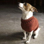 12 Dog Sweaters And Other Knitting Patterns For Pups