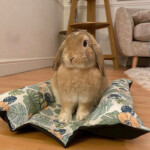 Bunny Binky Bed LARGE Etsy