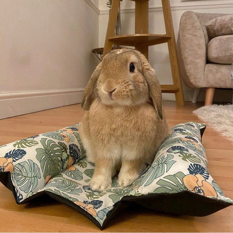 Bunny Binky Bed LARGE Etsy