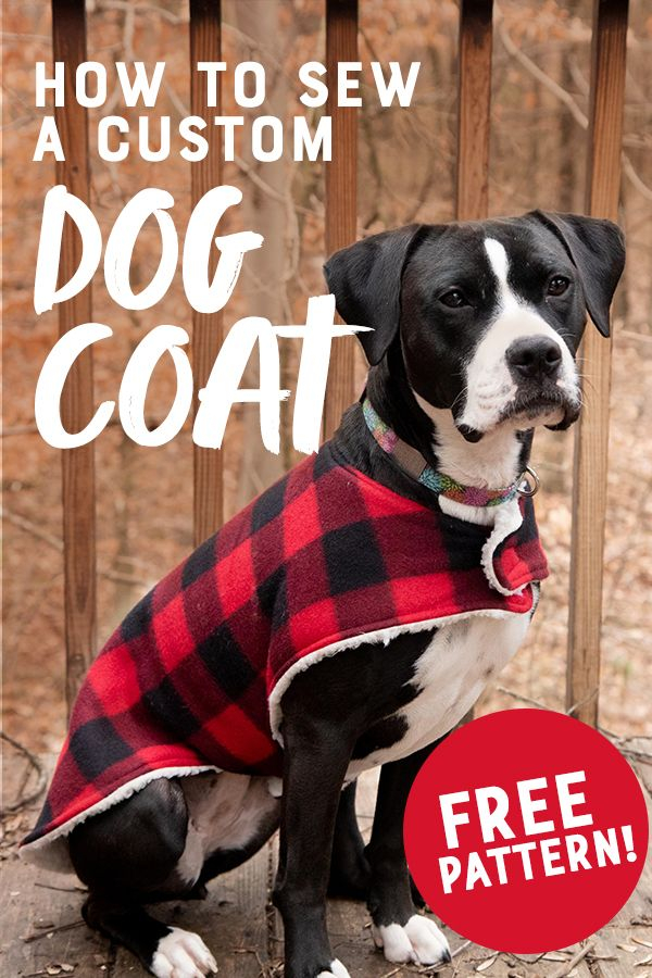 how-to-sew-a-cozy-custom-dog-coat-in-less-than-an-hour-custom-dog
