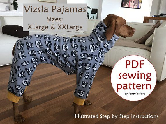 Pin On Dobermans